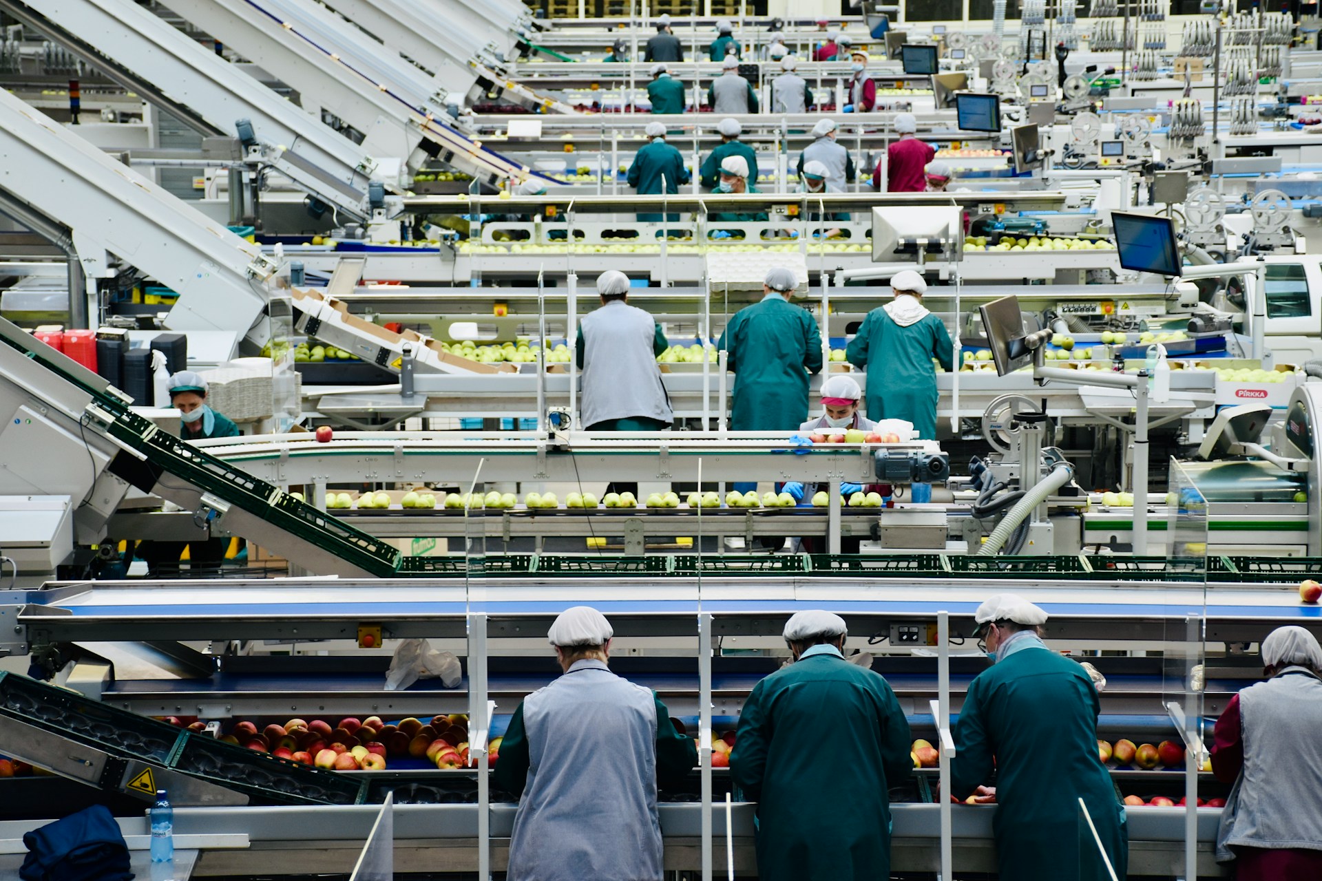 Workers in hairnets sort apples on a food processing line
